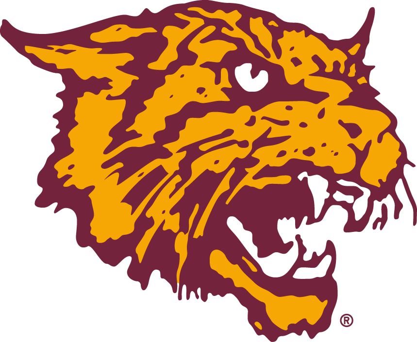 Bethune-Cookman Wildcats 2000-2015 Alternate Logo v3 DIY iron on transfer (heat transfer)